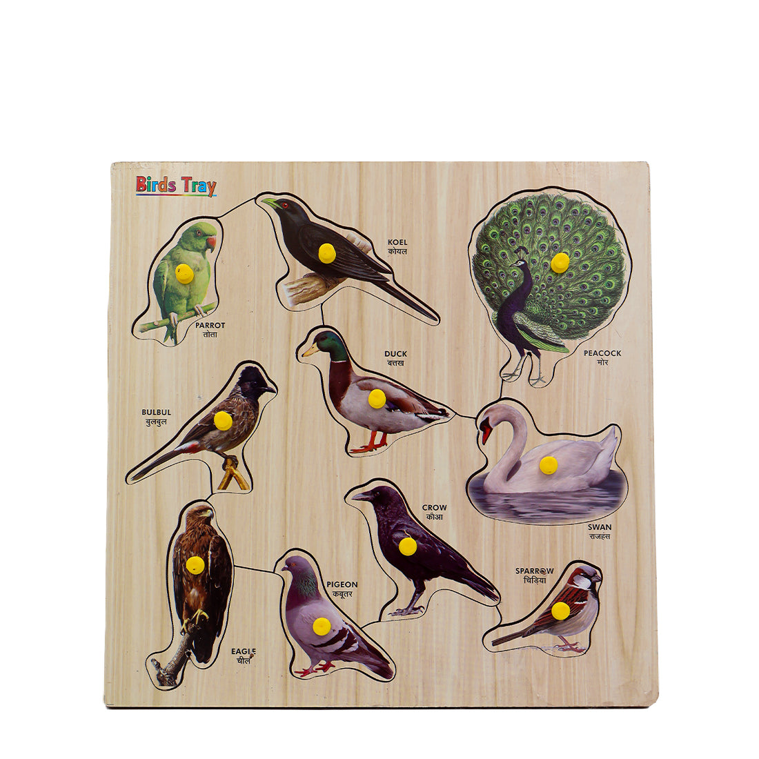 ToyBharat Wooden Puzzle Bird Big is a colourful and educational wooden toy designed for kids aged 1-6 years. It enhances shape recognition, fine motor skills, and bird identification. Ideal gift for children.
