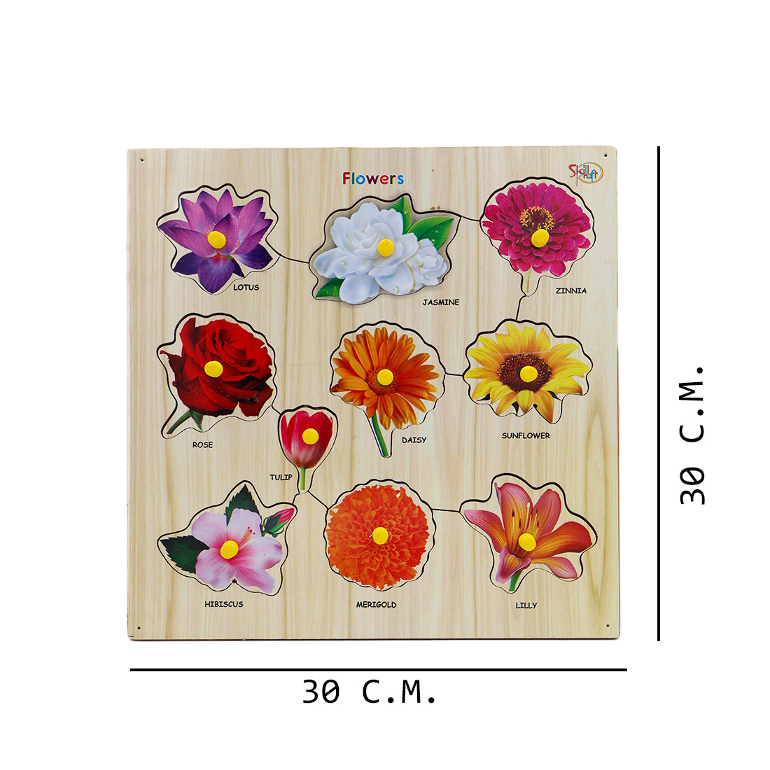 ToyBharat Wooden Puzzle Flowers is a vibrant and educational toy that helps kids learn about different flowers, shapes, and colours. Safe and non-toxic, it's the perfect birthday gift for toddlers and children.
