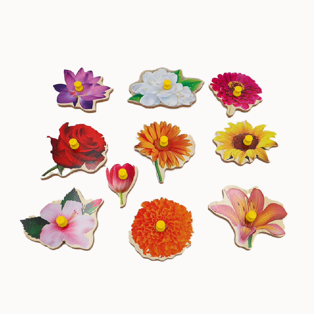 ToyBharat Wooden Puzzle Flowers is a vibrant and educational toy that helps kids learn about different flowers, shapes, and colours. Safe and non-toxic, it's the perfect birthday gift for toddlers and children.