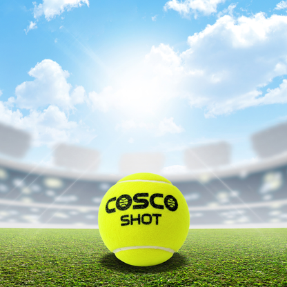 Toybharat Cosco Shot Cricket / Tennis Ball Set of 2 Pcs. | Green Color| Activity Toy | Birthday Gift for Boys and Girls | Game & Sports|