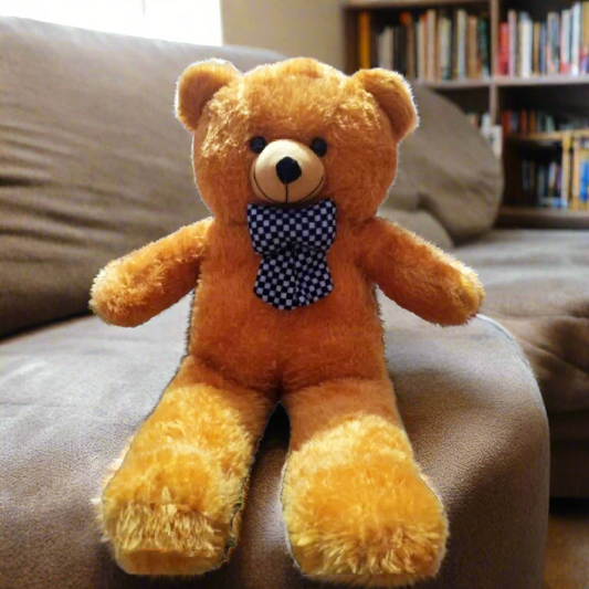 Teddy Bear Mr. Brown For Kids